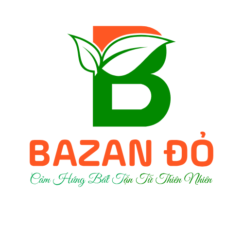 bazando.vn